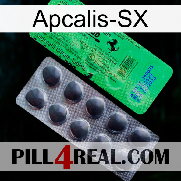 Apcalis-Sx new04.jpg